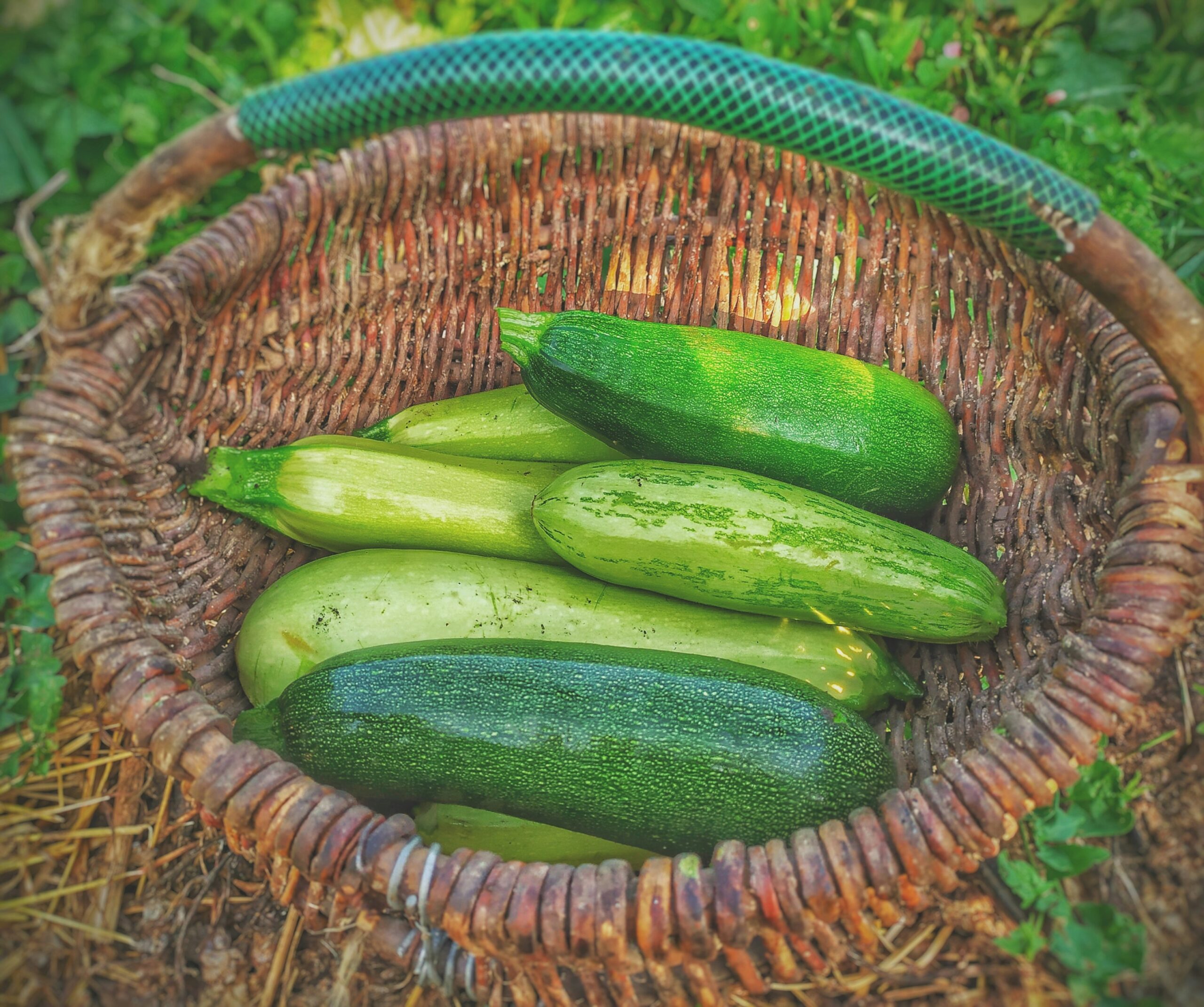 20 Creative Zucchini Recipes to Make the Most of Your Summer Bounty