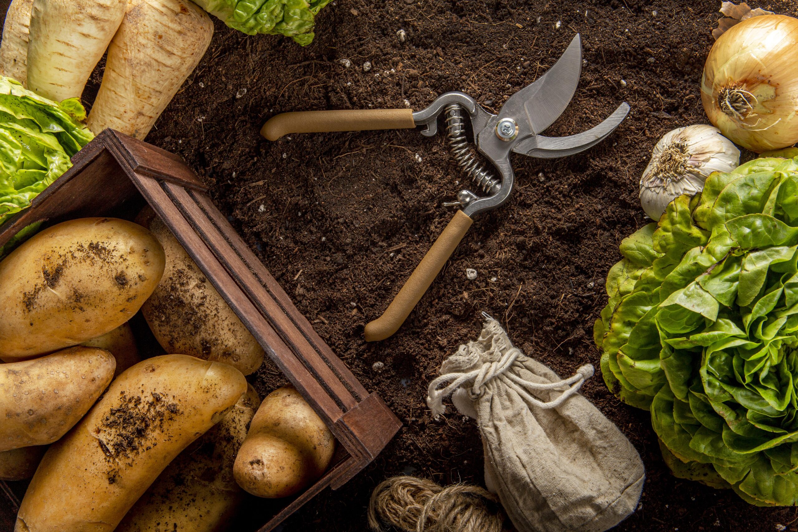 Summer 2026 Food and Farming Book Guide: Stories of Soil, Survival, and Systemic Change