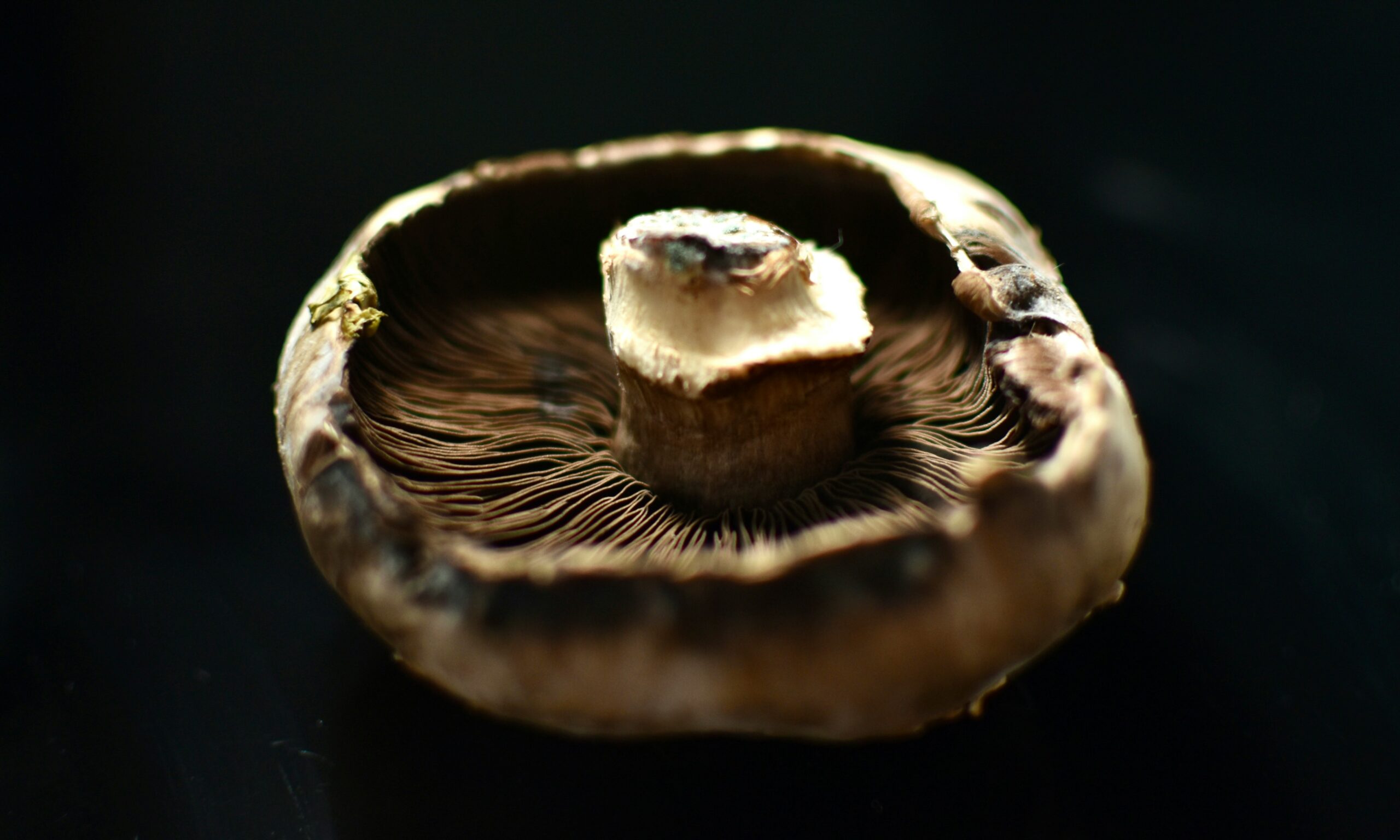 The 15-Minute Rule for Perfect Grilled Portobello Mushrooms Every Single Time